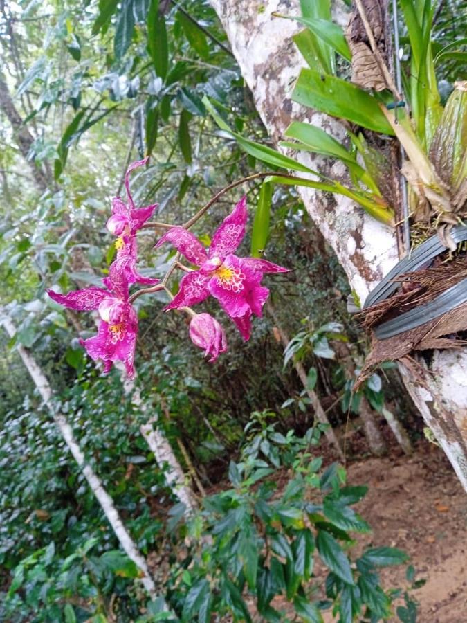 CASA LUXO-água quente-banheira-lareira-cachoeira. Pedra Azul (Espirito Santo) Exterior foto